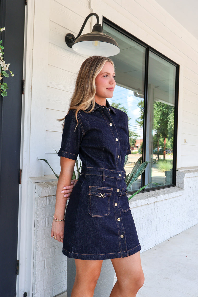 The Crush Denim Dress