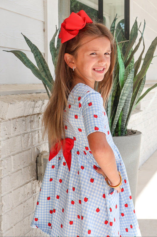 Apple Orchard Gingham S/S Twirl Dress