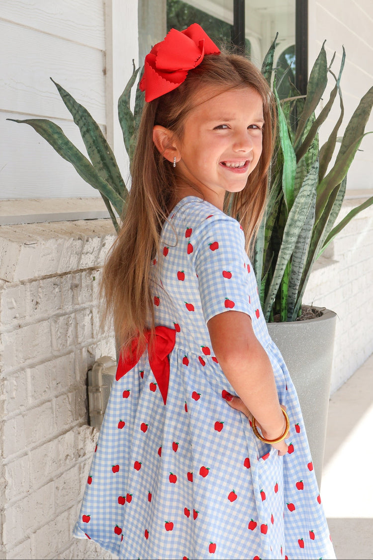 Apple Orchard Gingham S/S Twirl Dress