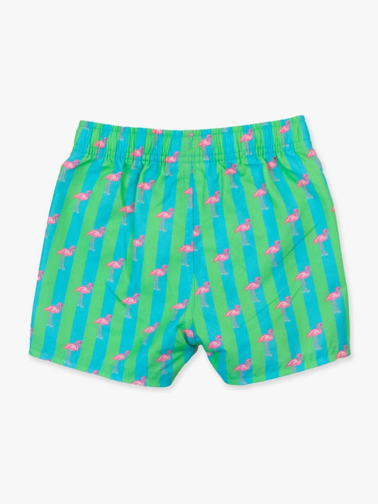 Neon Flamingo Stripe Swim Trunks