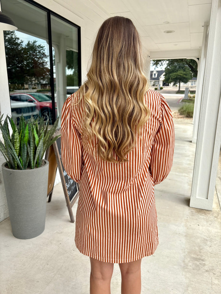 Aditi Striped Dress