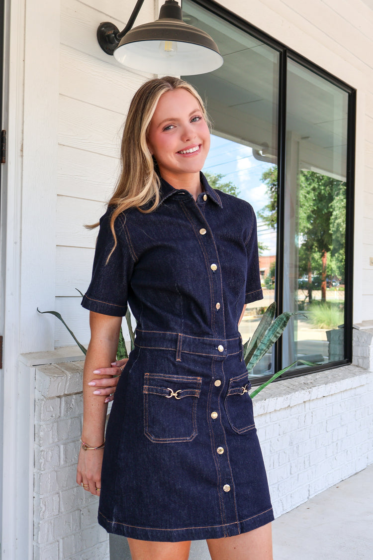 The Crush Denim Dress