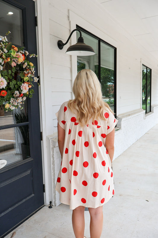 Dotted Darling Button Down Pleated Poplin Mini Dress