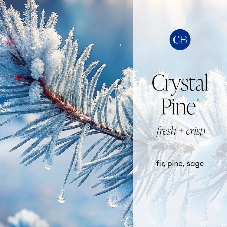 Crystal Pine Hand Wash 11.8oz.