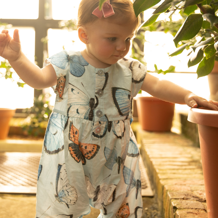 Blue Vintage Butterflies Alexandra Jumper