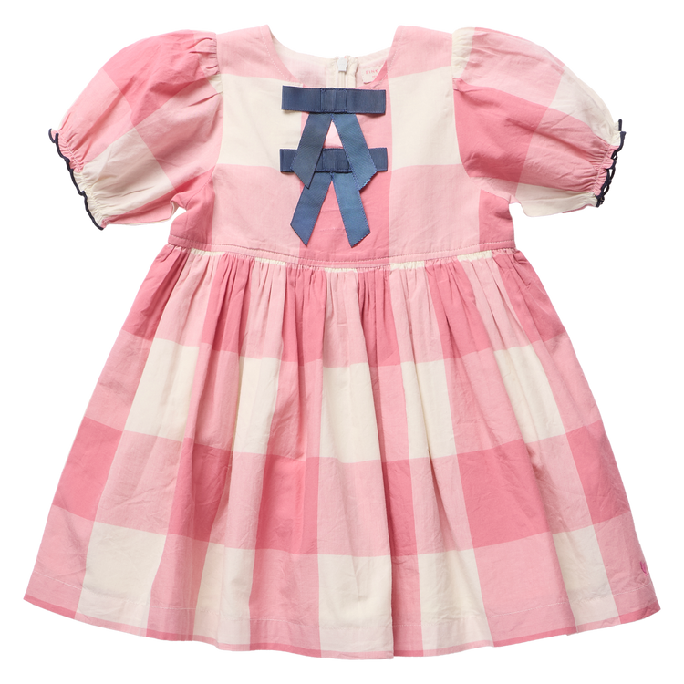 Pink Checks Hermione Dress