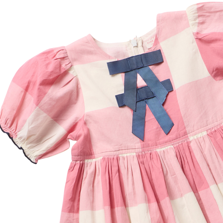 Pink Checks Hermione Dress