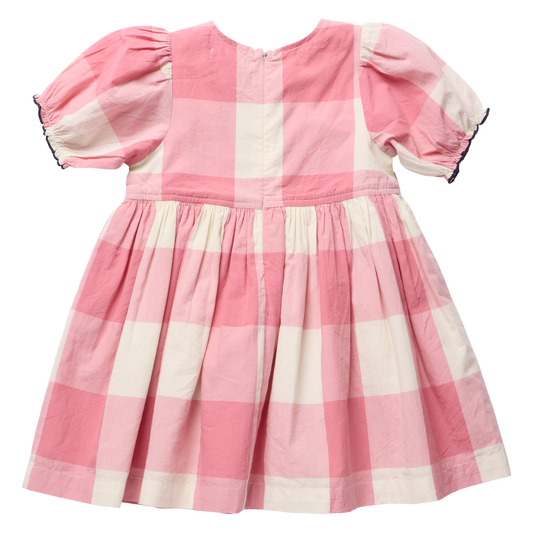 Pink Checks Hermione Dress