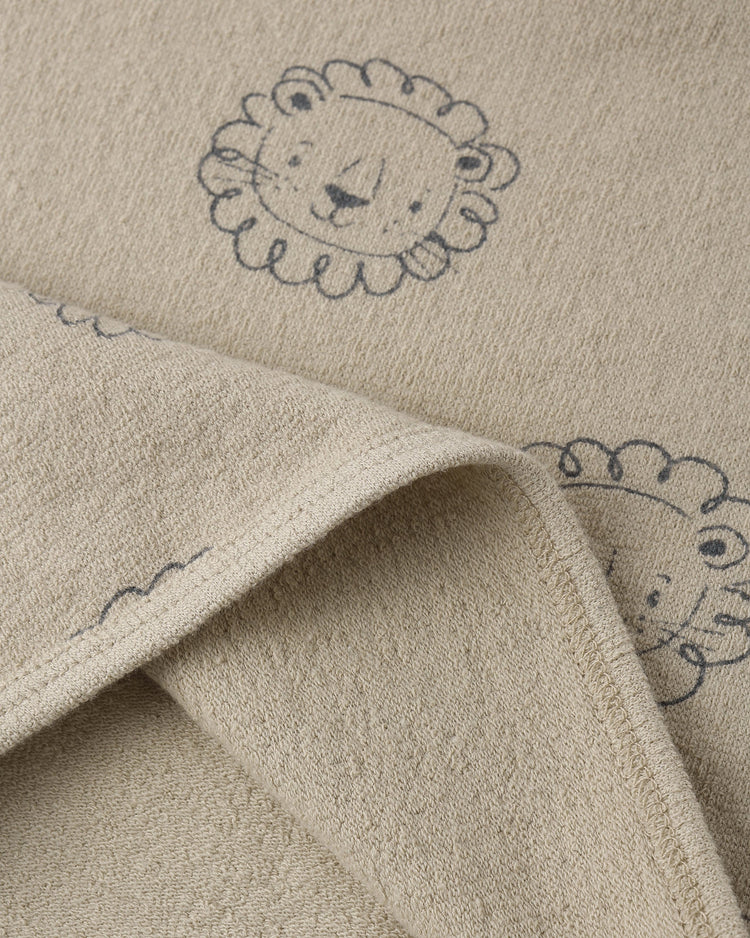 Lion Spongy Play Set