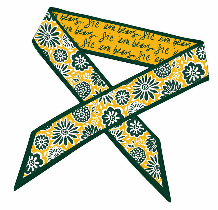 College Skinny Scarf